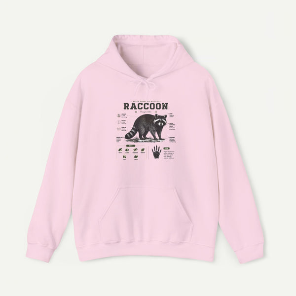 Raccoon Anatomy Hoodie — Vintage Wildlife Illustration Sweatshirt