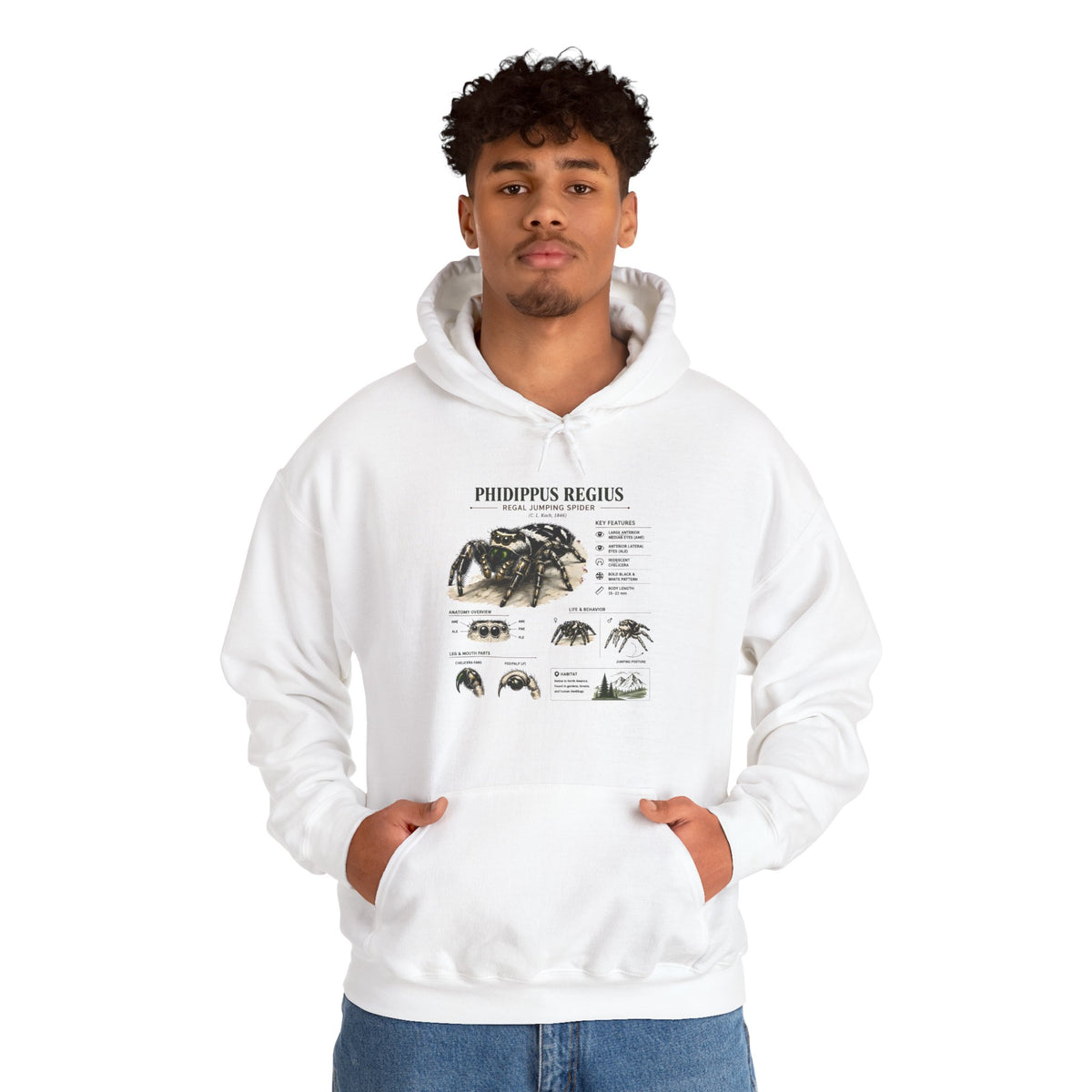 Tarantula Species Hoodie — Phidippus Regius Educational Spider Sweatshirt