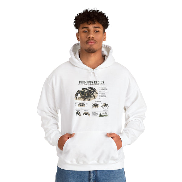 Tarantula Species Hoodie — Phidippus Regius Educational Spider Sweatshirt