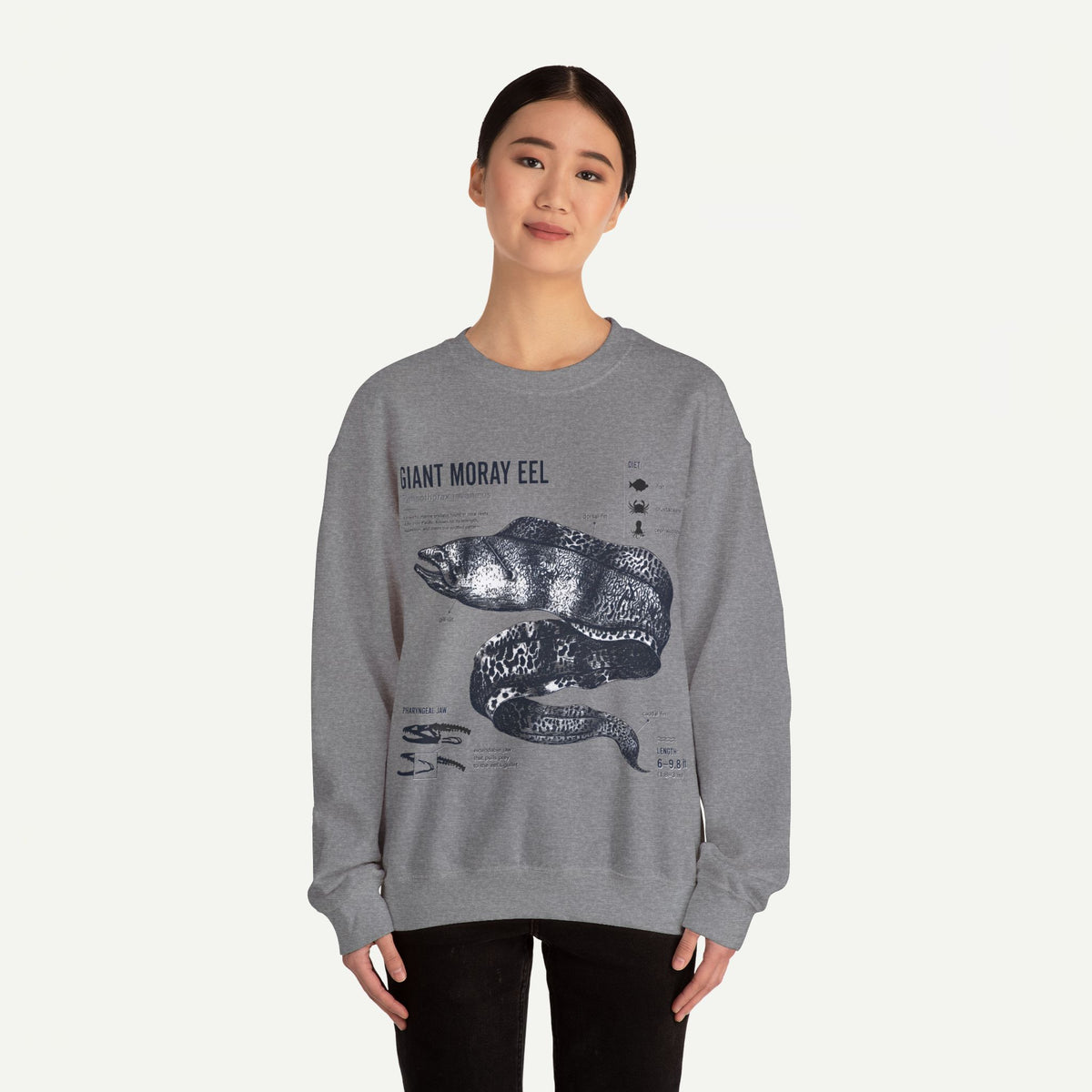 Giant Moray Eel Anatomy Sweatshirt