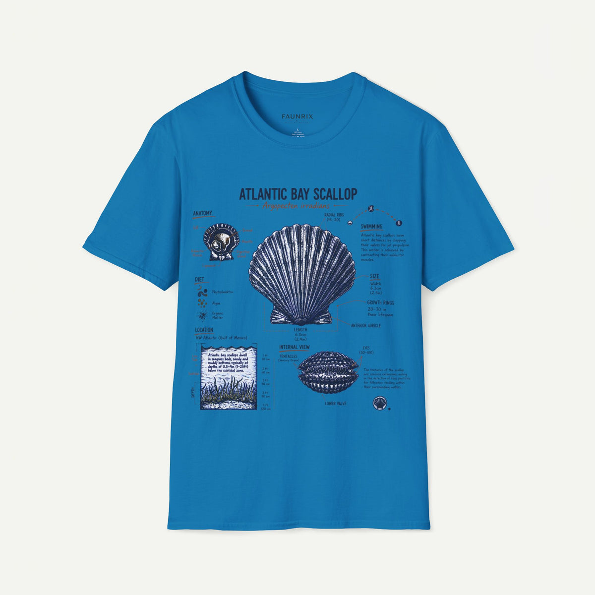 Scallop Shell Anatomy T‑Shirt — Atlantic Bay Scallop Illustration Tee