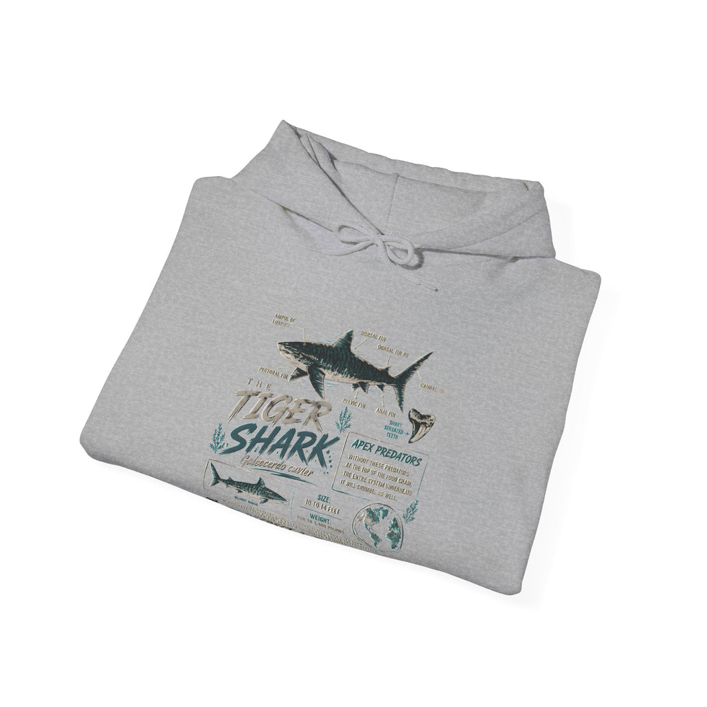 Tiger Shark Illustration Hoodie — Marine Biology Graphic Pullover (Tiger Shark Facts)