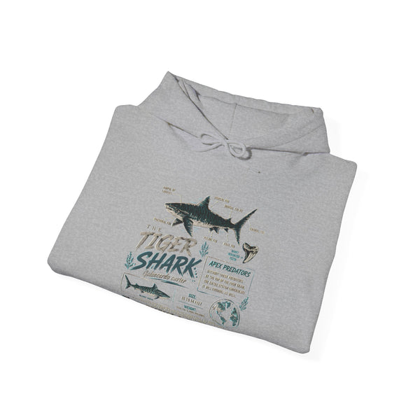 Tiger Shark Illustration Hoodie — Marine Biology Graphic Pullover (Tiger Shark Facts)