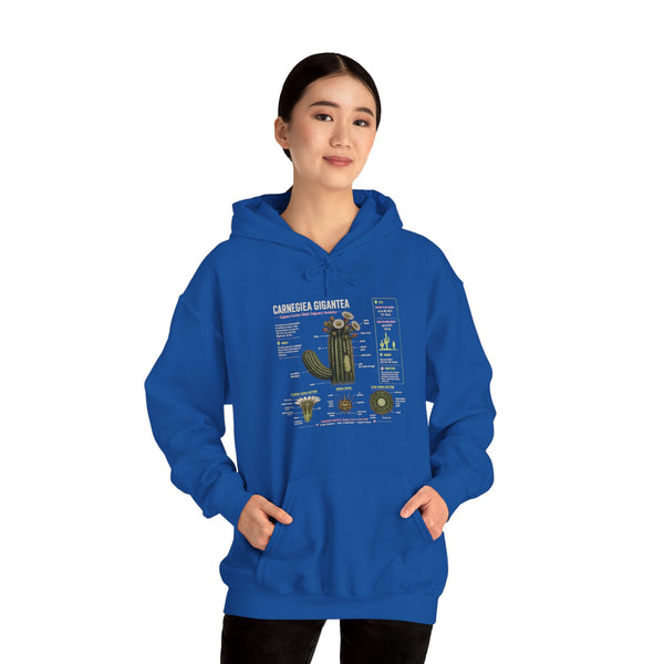 Cactus Anatomy Hoodie — Botanical Saguaro Diagram Sweatshirt