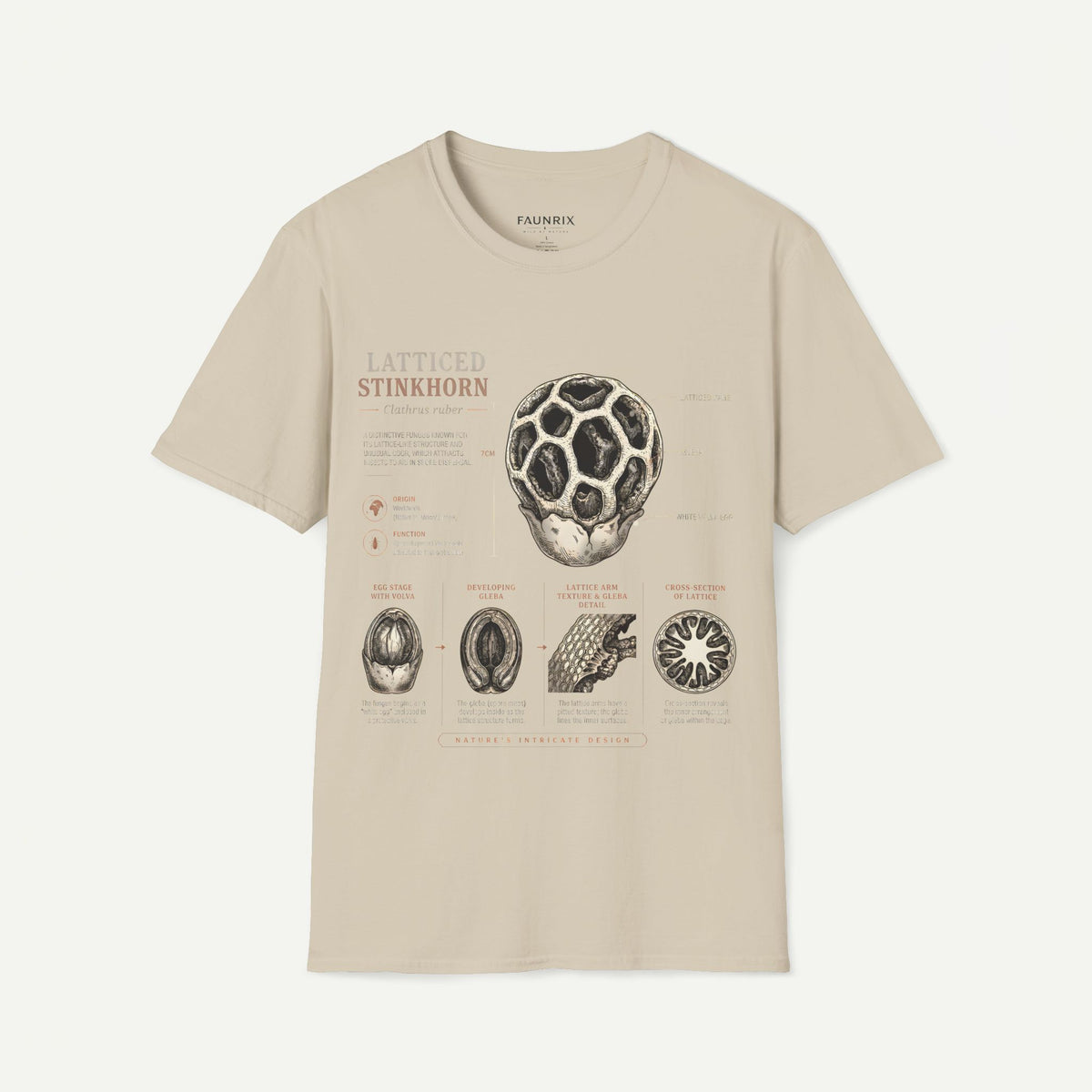 Botanical Latticed Stinkhorn  Anatomy  Vintage Naturalist Shirt
