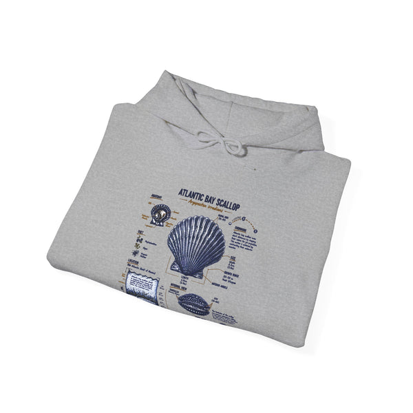 Seashell Anatomy Hoodie – Nautical Beach Diagram Sweatshirt