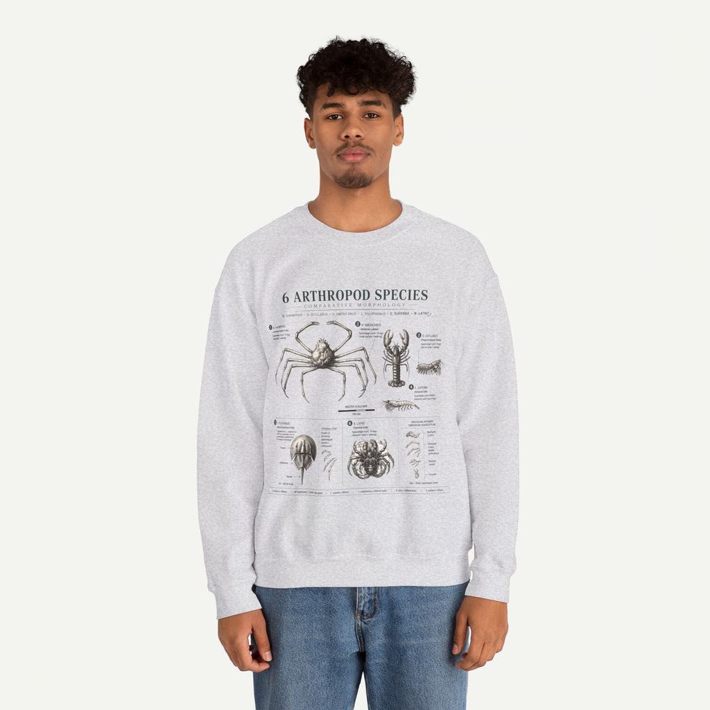 Arthropod Species Diagram Sweatshirt — Vintage Scientific Illustration Crewneck
