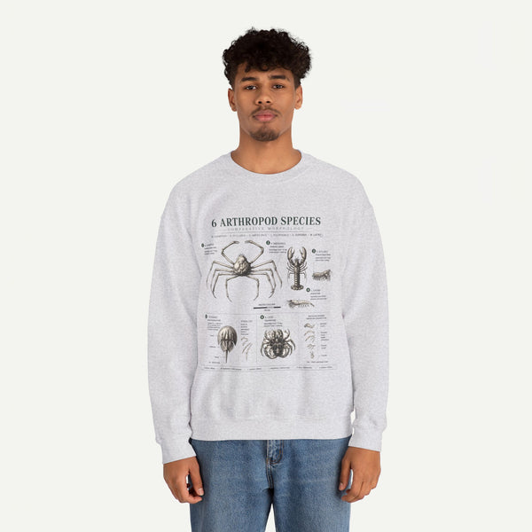 Arthropod Species Diagram Sweatshirt — Vintage Scientific Illustration Crewneck