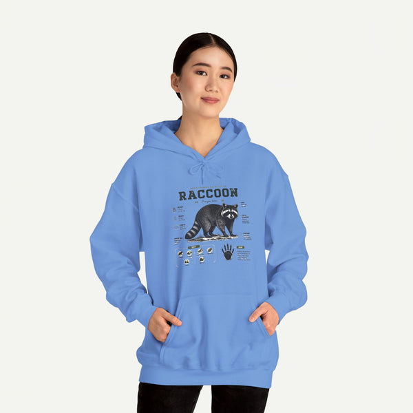 Raccoon Anatomy Hoodie — Vintage Wildlife Illustration Sweatshirt