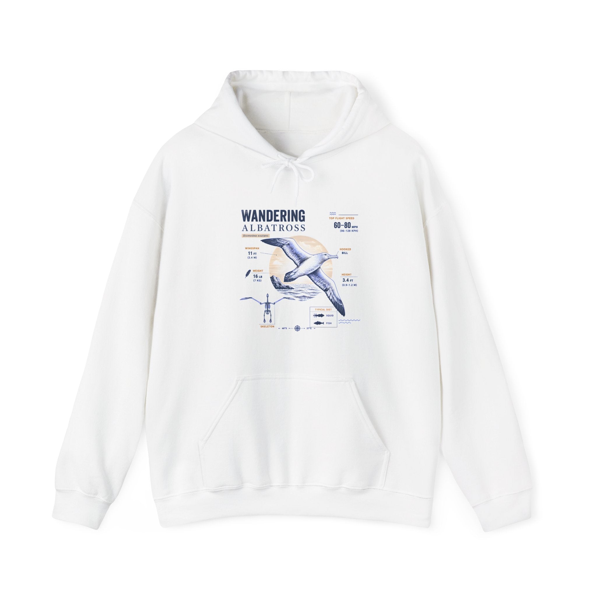 Wandering Albatross Hoodie — Illustrated Sea Bird Anatomy Pullover Secondary image