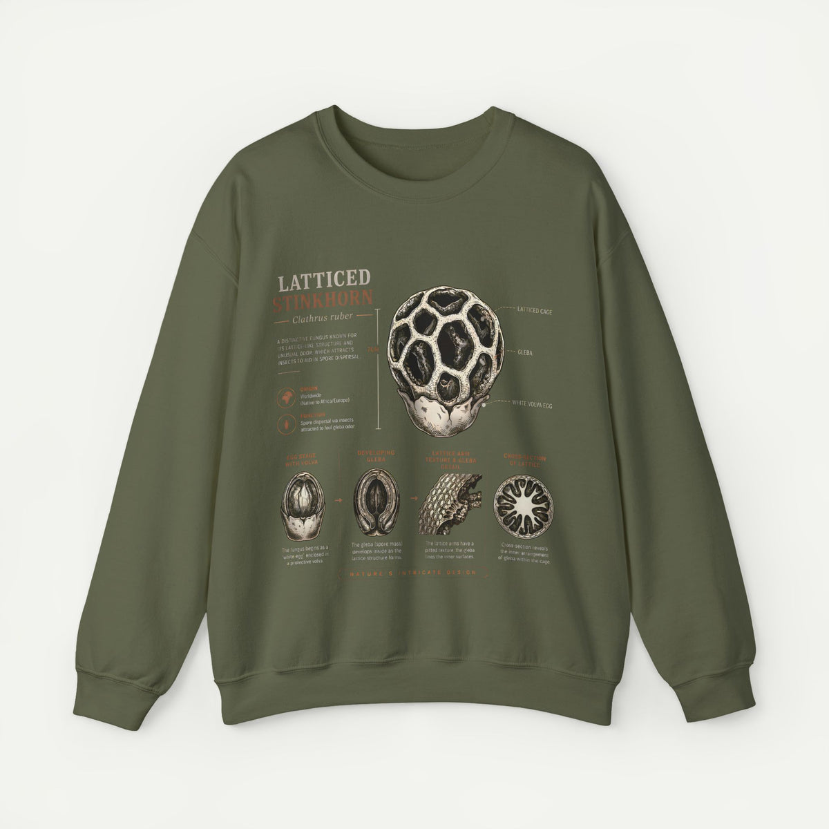 Mushroom Anatomy Sweatshirt – Latticeed Stinkhorn Mycology Crewneck