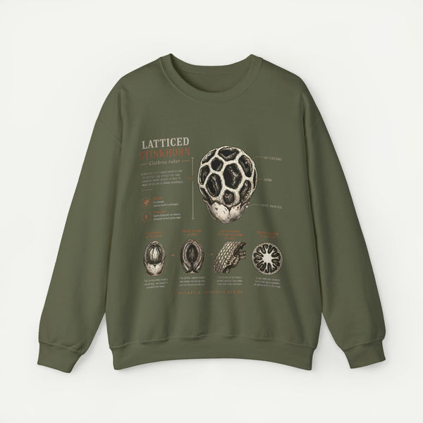 Mushroom Anatomy Sweatshirt – Latticeed Stinkhorn Mycology Crewneck