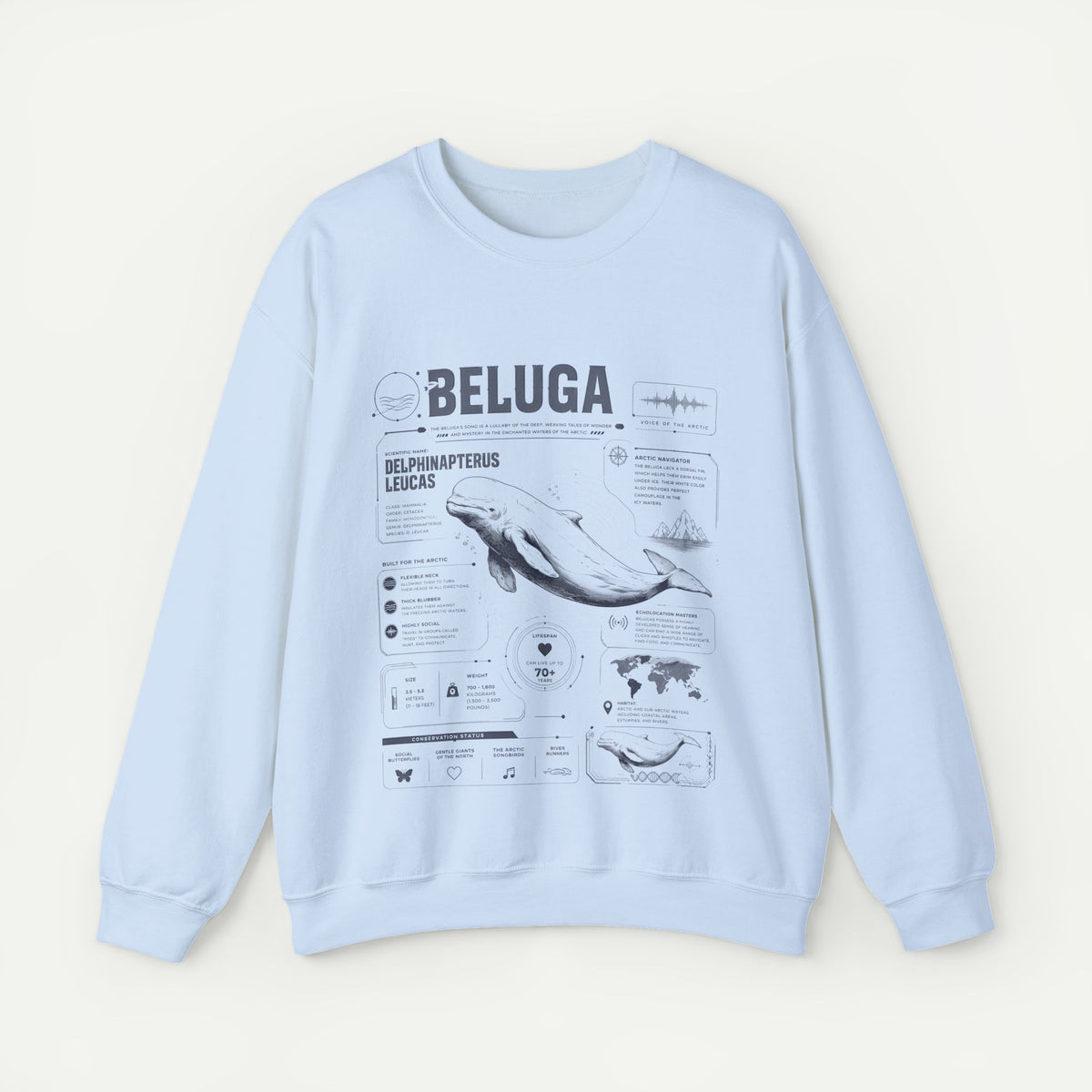 Beluga Whale Anatomy Sweatshirt