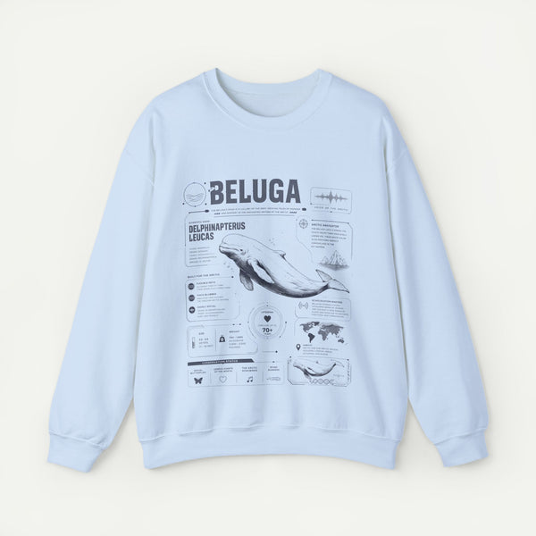 Beluga Whale Anatomy Sweatshirt