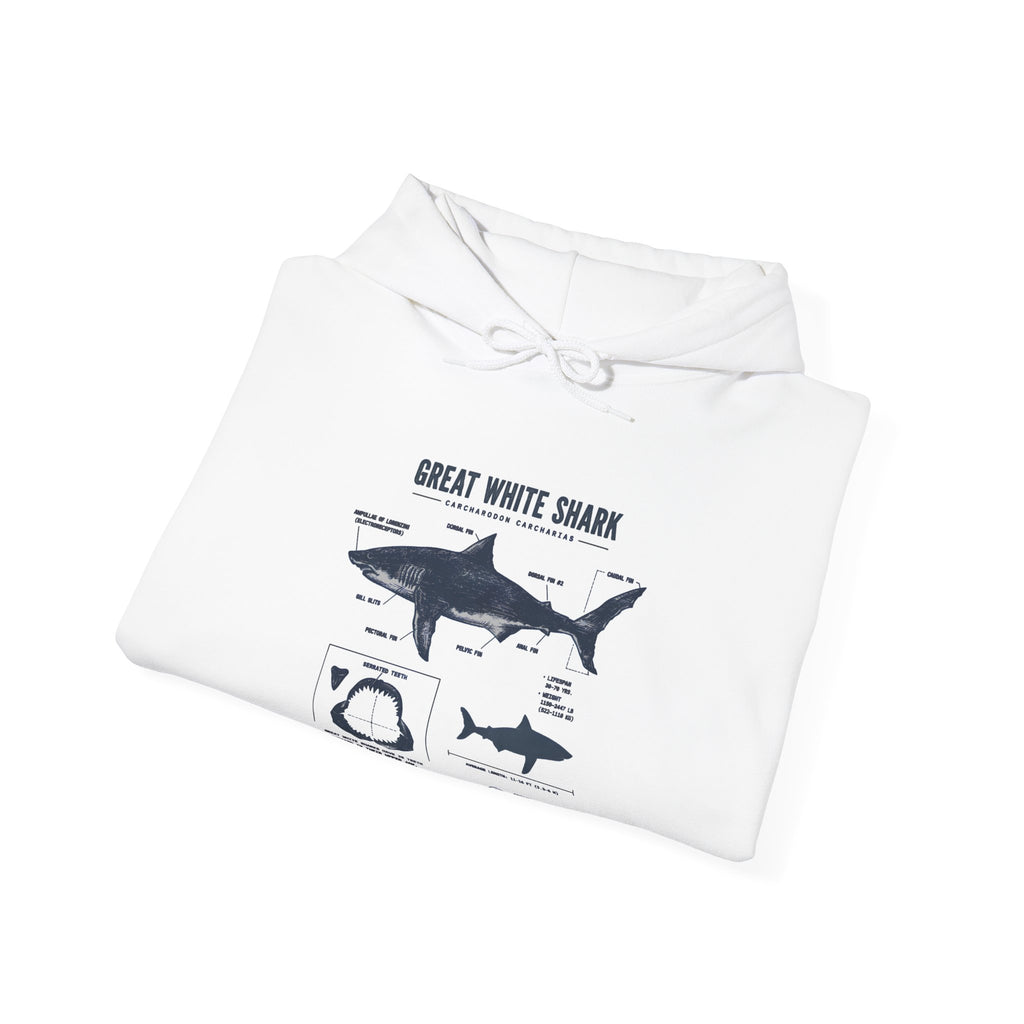 Shark Diagram Hoodie — Great White Shark Anatomy Graphic Sweatshirt