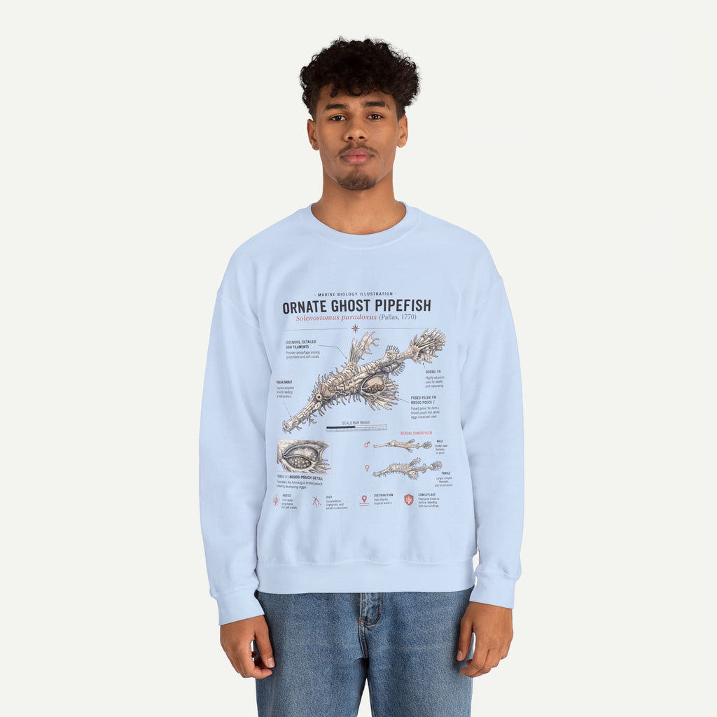 Ornate Ghost Pipefish Anatomy Sweatshirt