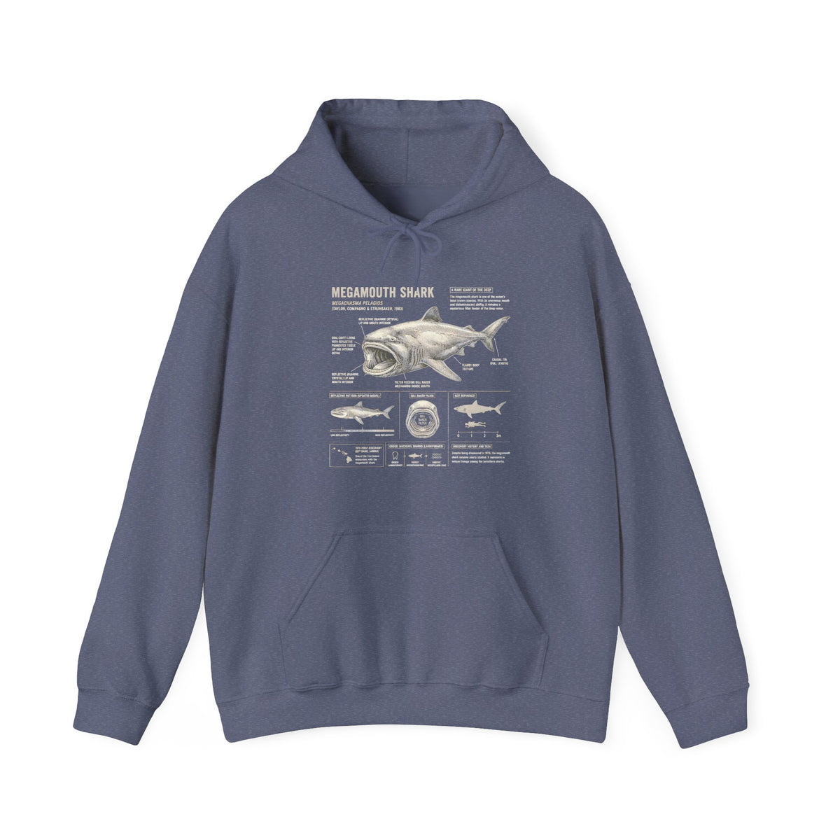 Shark Anatomy Hoodie — Vintage Megalodon Illustration Pullover