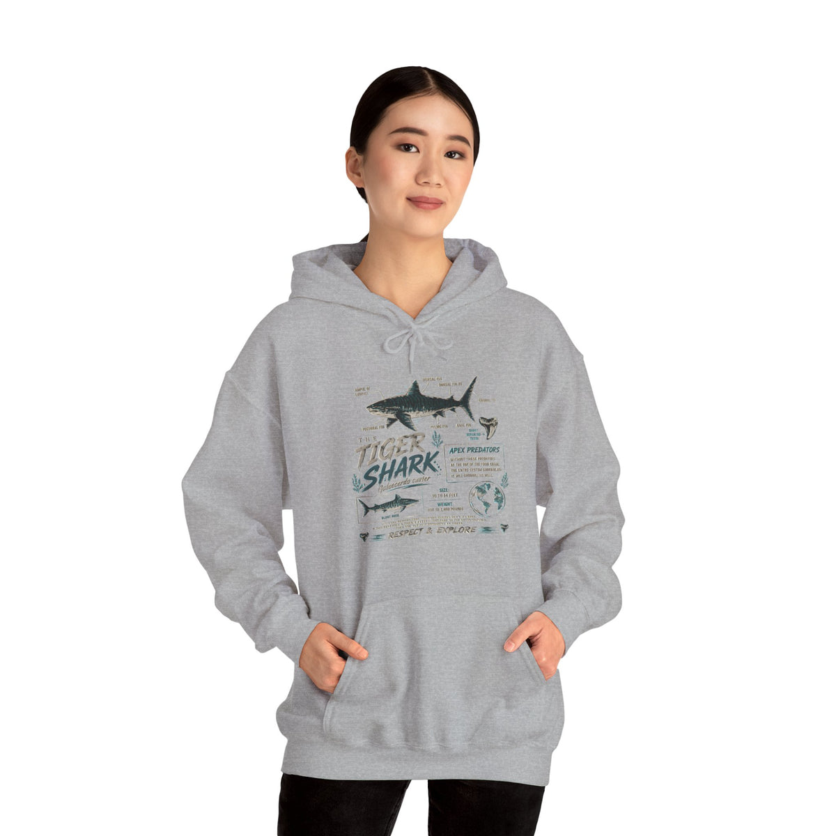 Tiger Shark Illustration Hoodie — Marine Biology Graphic Pullover (Tiger Shark Facts)
