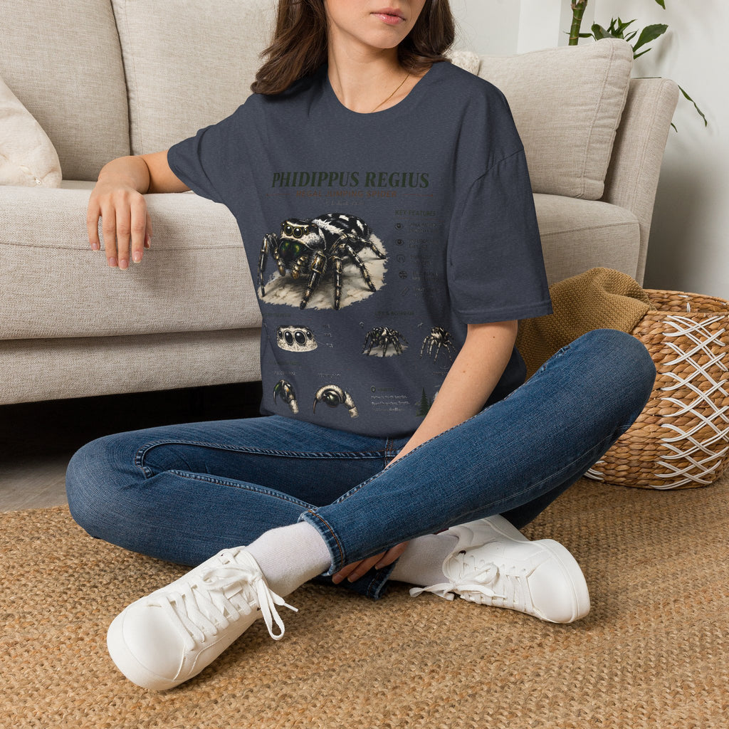 Phidippus Regius Jumping Spider Anatomy T-Shirt — Educational Arachnid Tee
