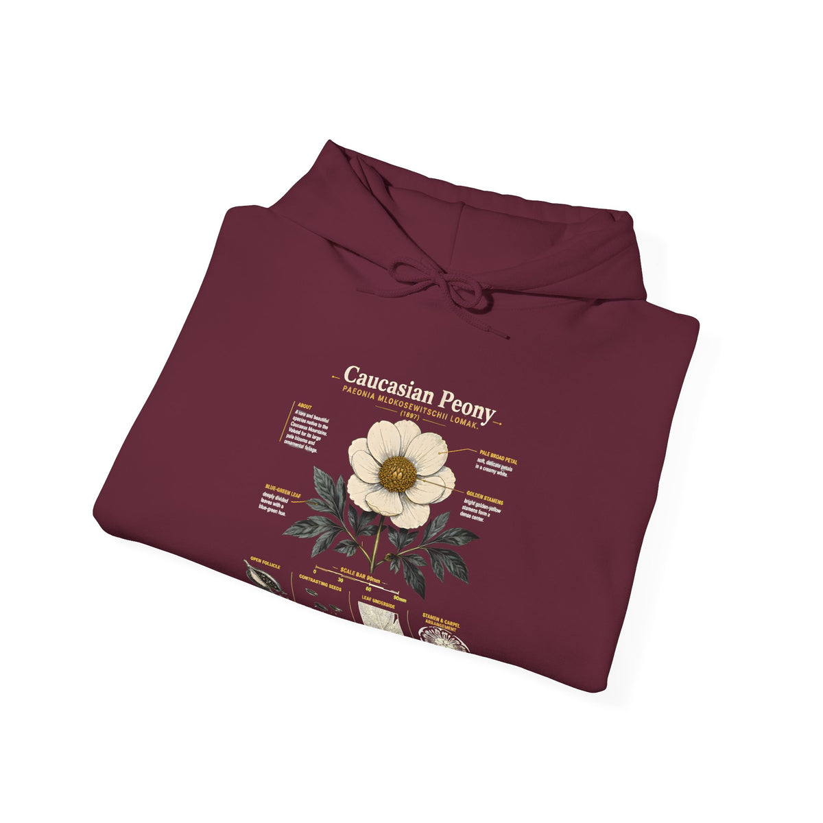 Magnolia Botany Hoodie — 'Caucasian Peony' Floral Diagram Hooded Sweatshirt
