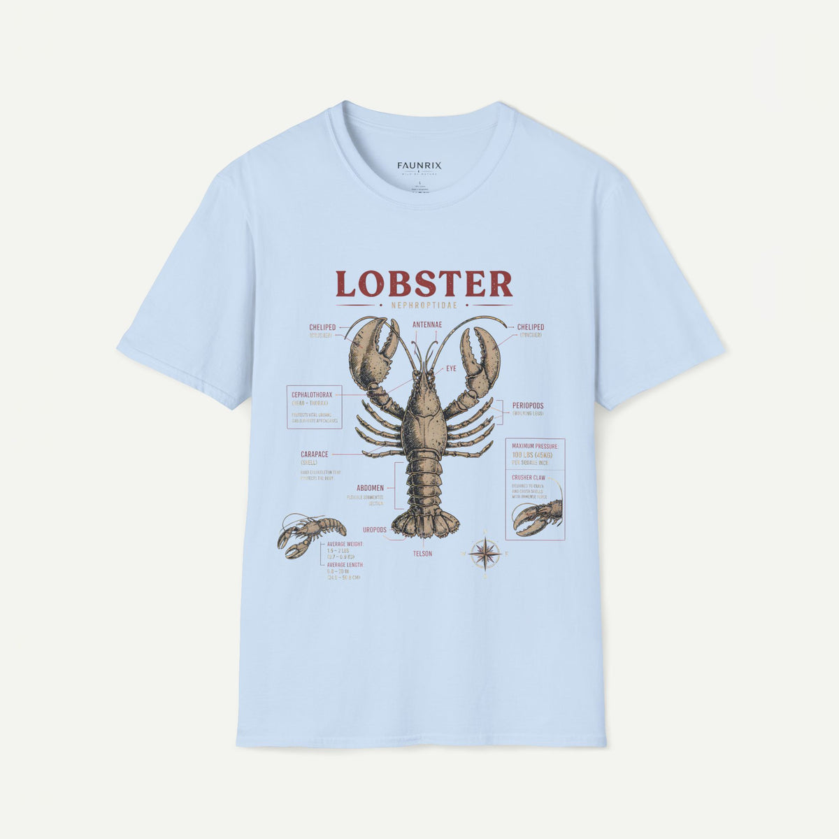 Lobster Anatomy T-Shirt — Vintage Nautical Seafood Diagram Tee