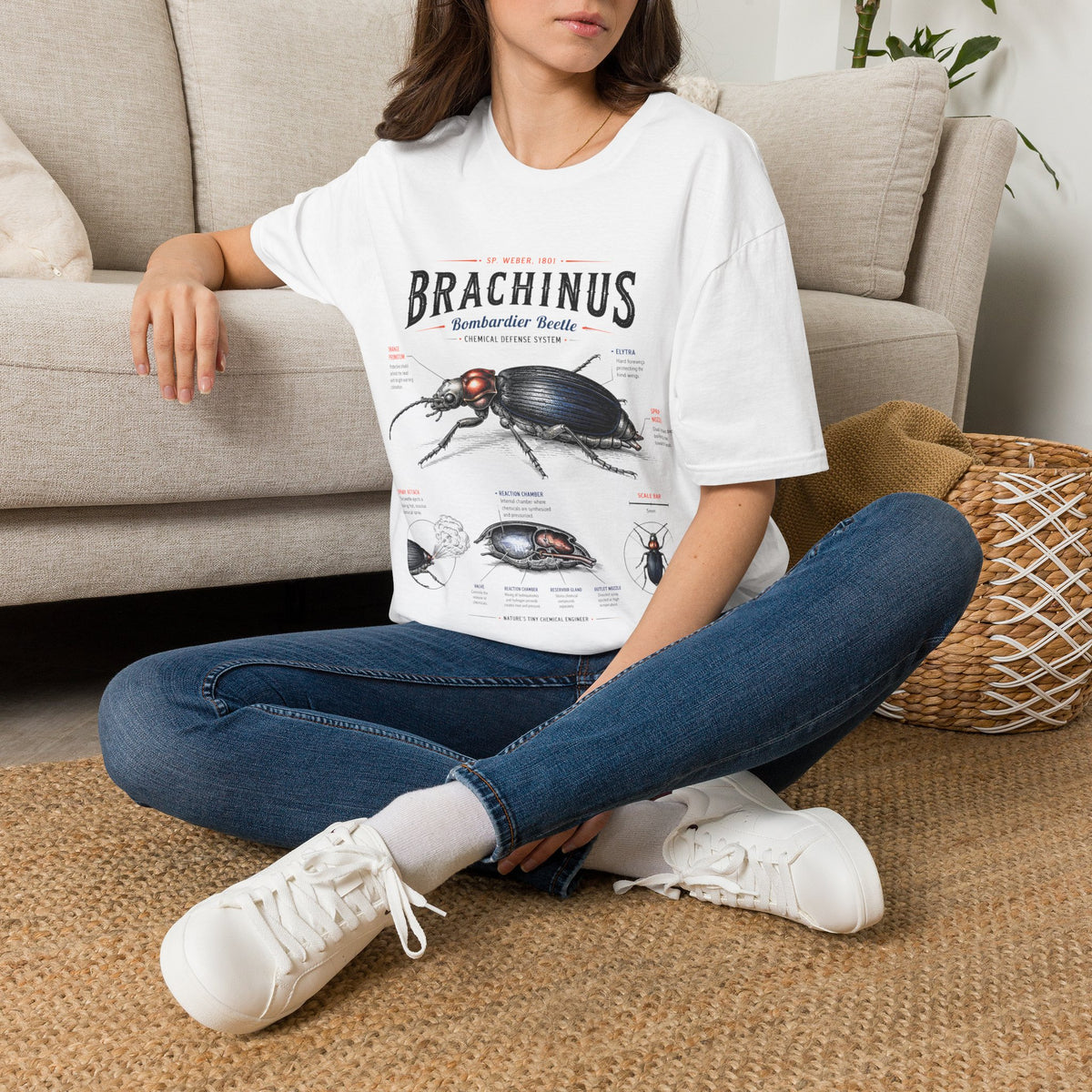 Brachinus Bombardier Beetle Anatomy T-Shirt — Vintage Entomology Graphic Tee
