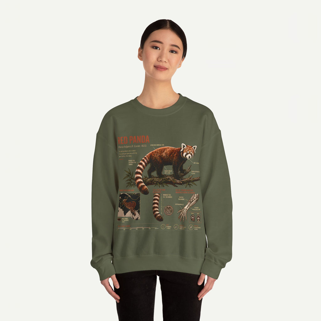 Red Panda Anatomy Sweatshirt — Vintage Wildlife Crewneck