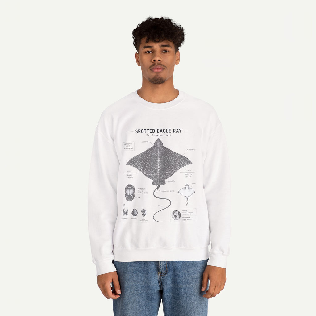 Spotted Eagle Ray Anatomy Sweatshirt – Marine Biology Illustration