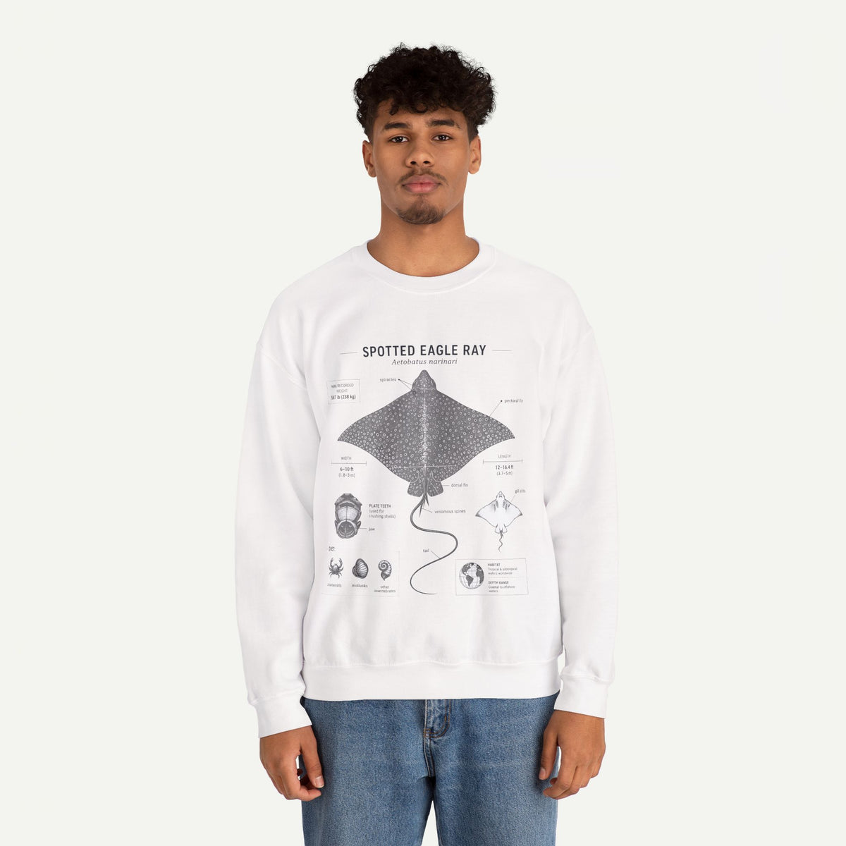Spotted Eagle Ray Anatomy Sweatshirt – Marine Biology Illustration