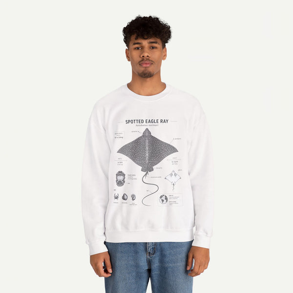 Spotted Eagle Ray Anatomy Sweatshirt – Marine Biology Illustration