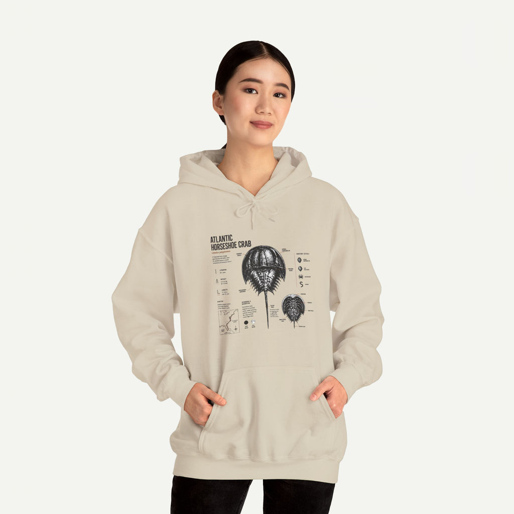 Horseshoe Crab Anatomy Hoodies