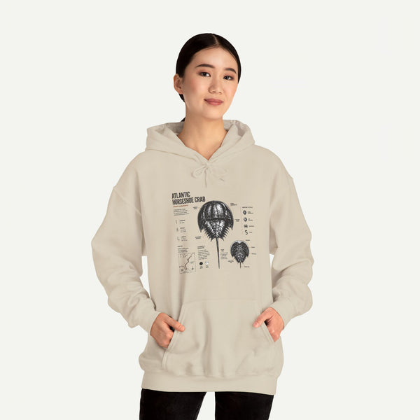Horseshoe Crab Anatomy Hoodies