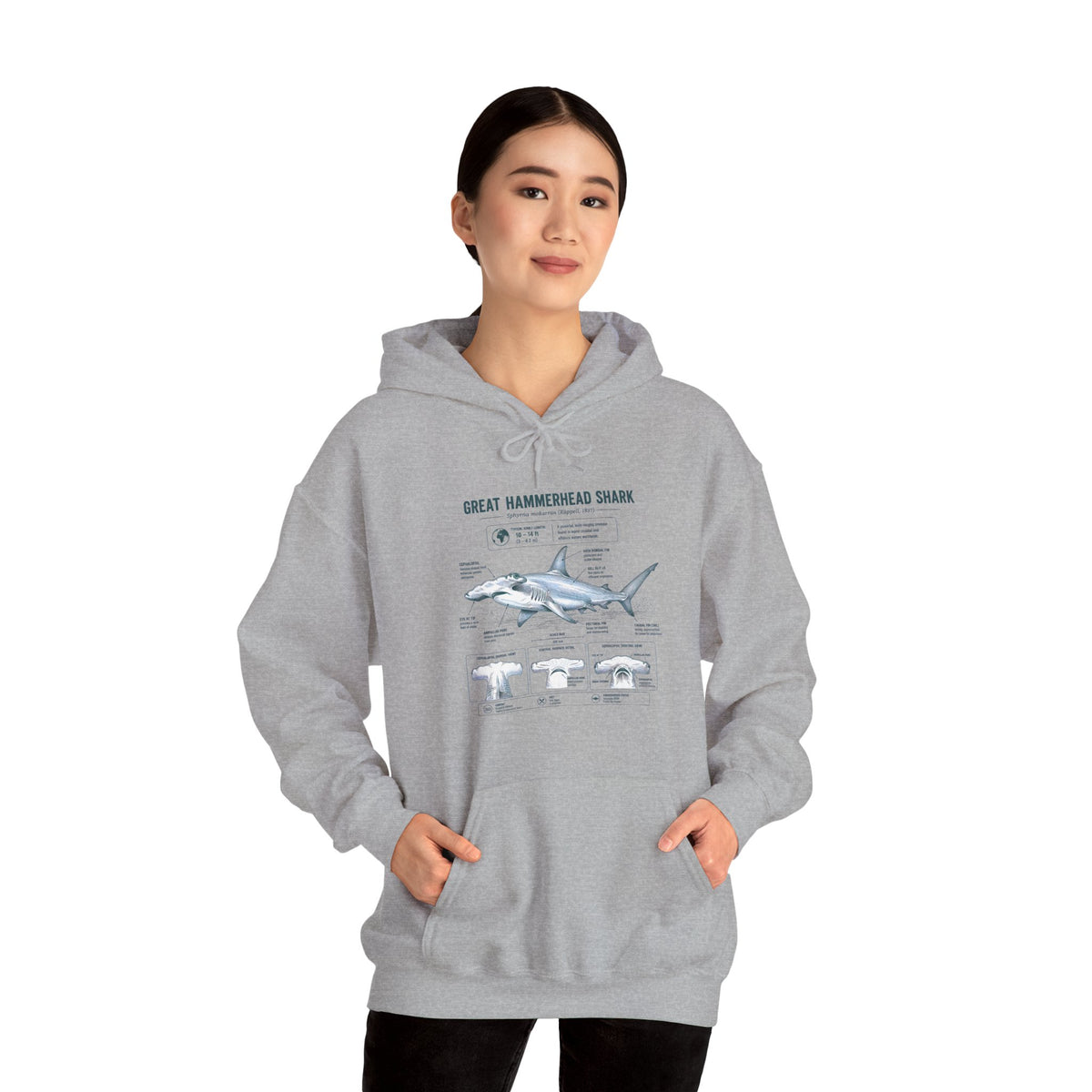 Shark Anatomy Hoodie — Great Hammerhead Shark Diagram Sweatshirt