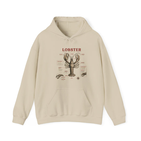 Lobster Anatomy Hoodie – Nautical Seafood Illustration Pullover