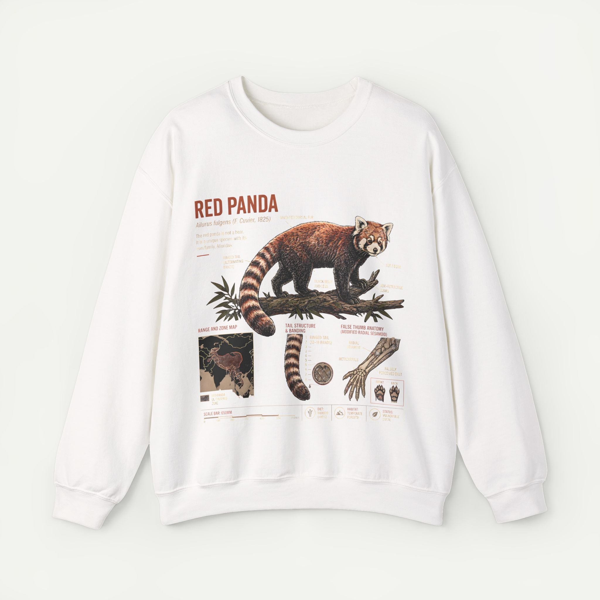 Red Panda Anatomy Sweatshirt — Vintage Wildlife Crewneck Secondary image