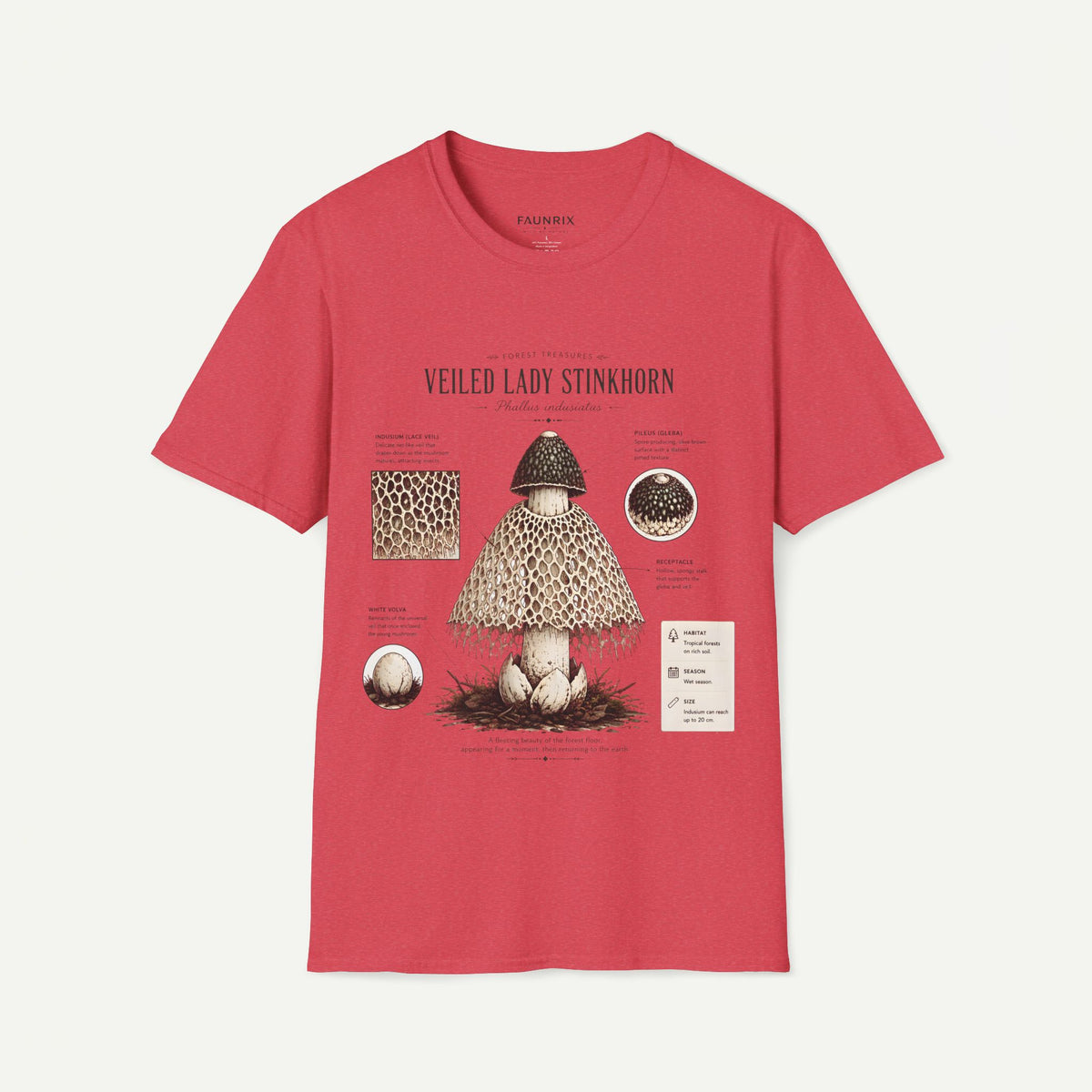 Veiled Lady Stinkhorn Mushroom Tee — Botanical Mycology Anatomy T-Shirt