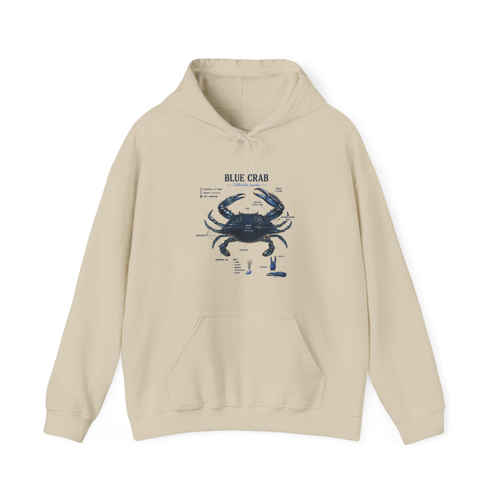 Blue Crab Anatomy Hoodie — Nautical Marine Biology Graphic Sweatshirt