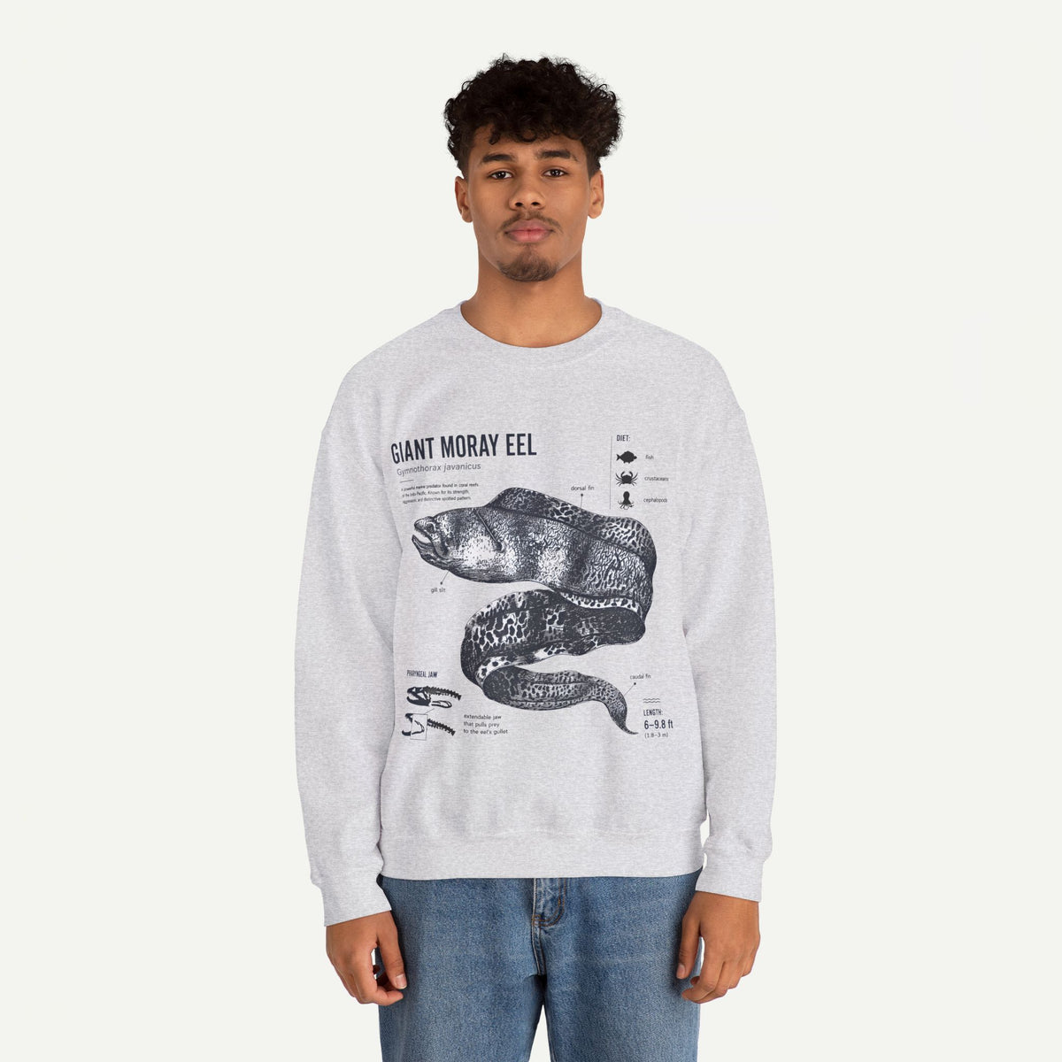 Giant Moray Eel Anatomy Sweatshirt