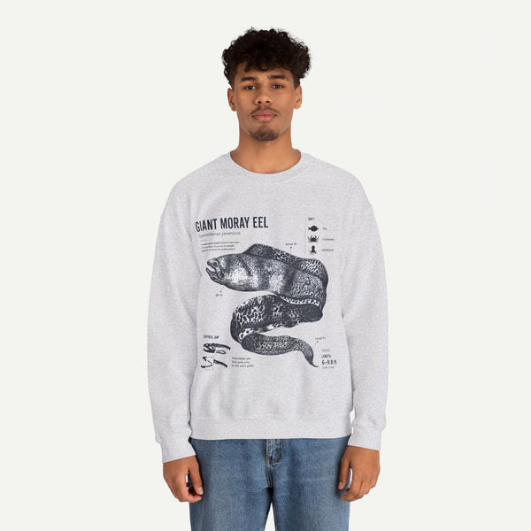 Giant Moray Eel Anatomy Sweatshirt