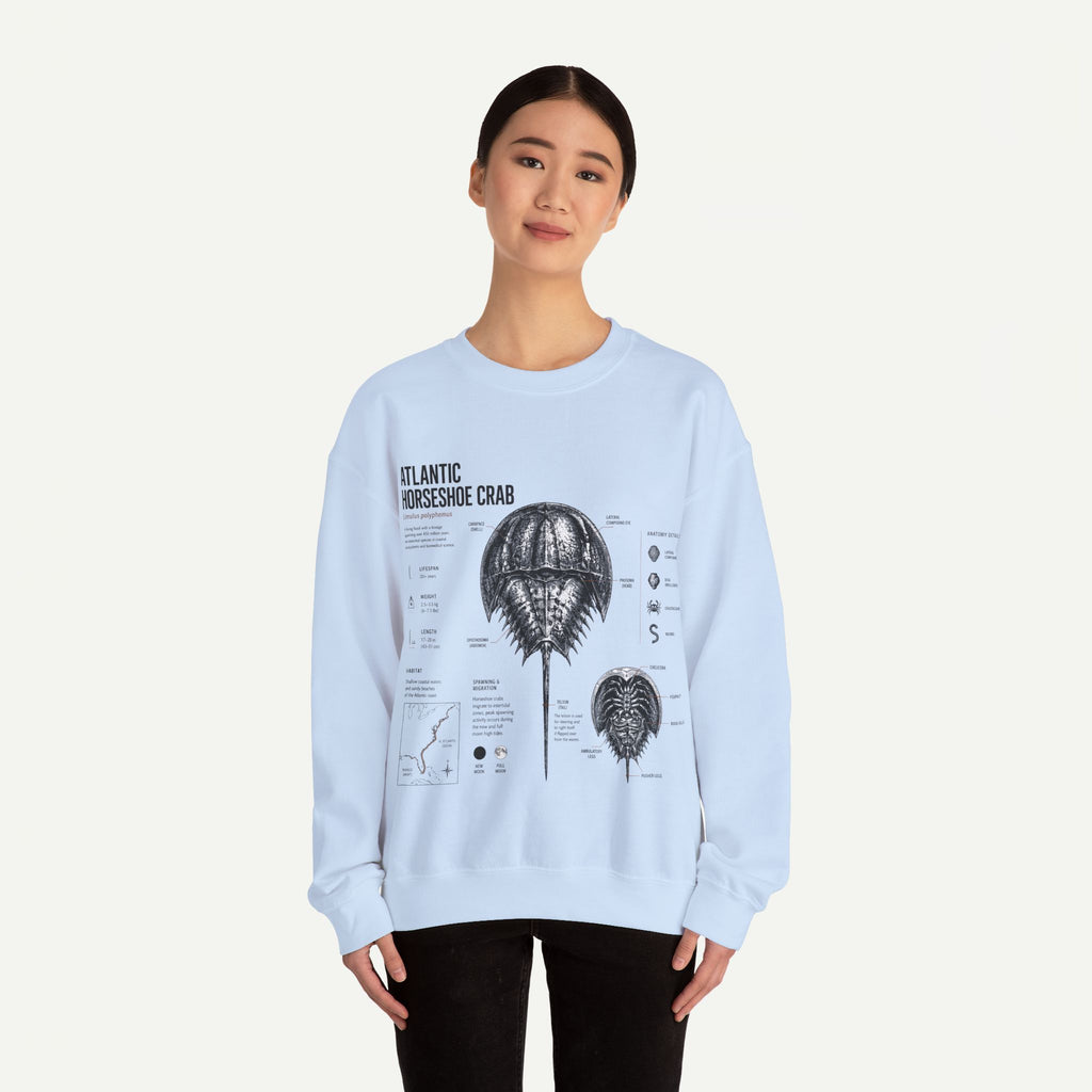 Horseshoe Crab Anatomy Sweatshirt — Atlantic Horseshoe Crab Illustration Crewneck