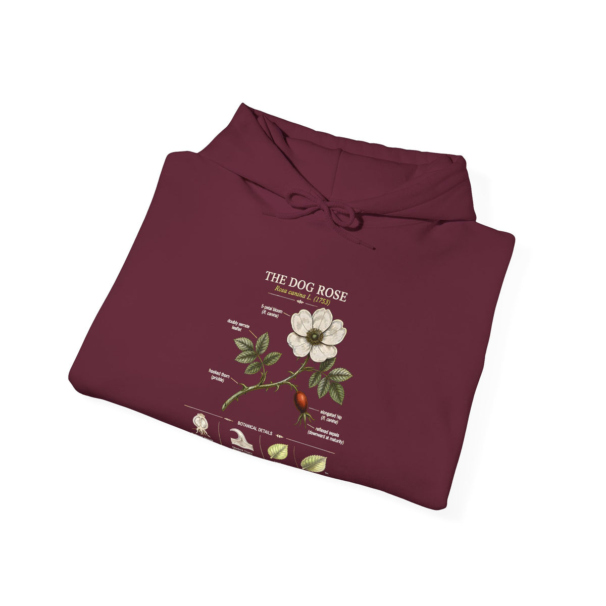 Floral Botanical Hoodie – White Dogwood Illustration with Text