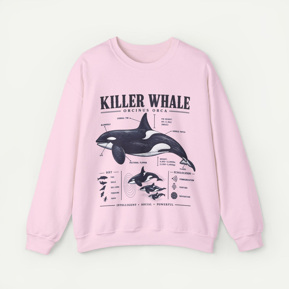 Killer Whale Anatomy Sweatshirt