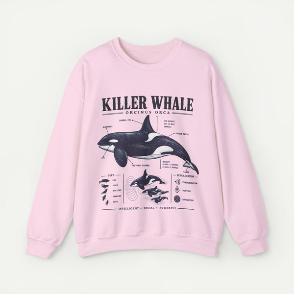Killer Whale Anatomy Sweatshirt