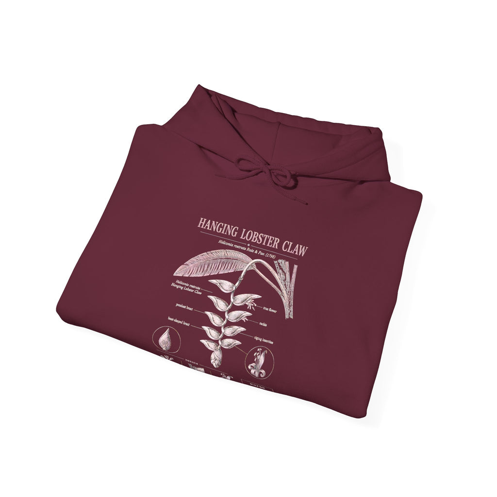 Botanical Growth Hoodie — Humming Lighter Club Plant Diagram Pullover