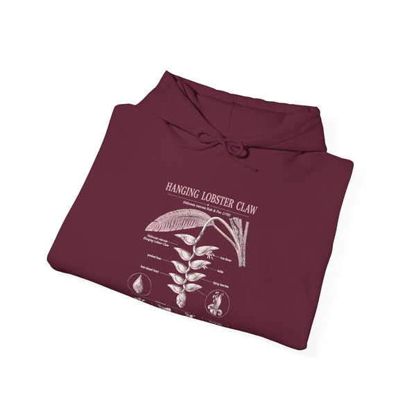 Botanical Growth Hoodie — Humming Lighter Club Plant Diagram Pullover
