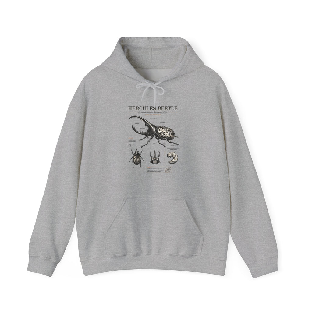 Hercules Beetle Anatomy Hoodie — Vintage Entomology Illustration Sweatshirt