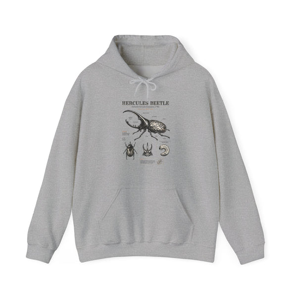 Hercules Beetle Anatomy Hoodie — Vintage Entomology Illustration Sweatshirt