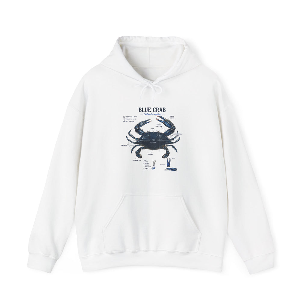 Blue Crab Anatomy Hoodie — Nautical Marine Biology Graphic Sweatshirt