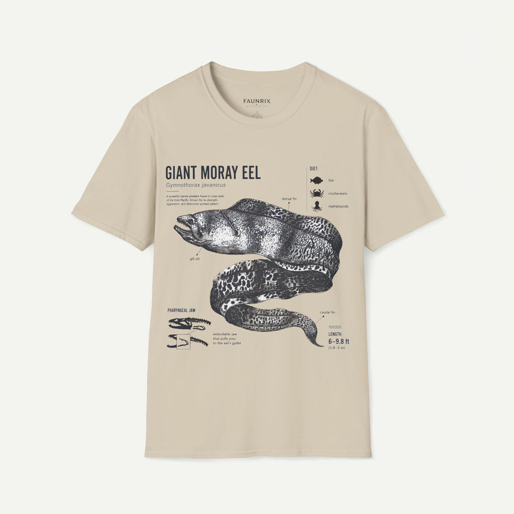 Moray Eel Anatomy Graphic T-Shirt — Vintage Scientific Illustration Tee