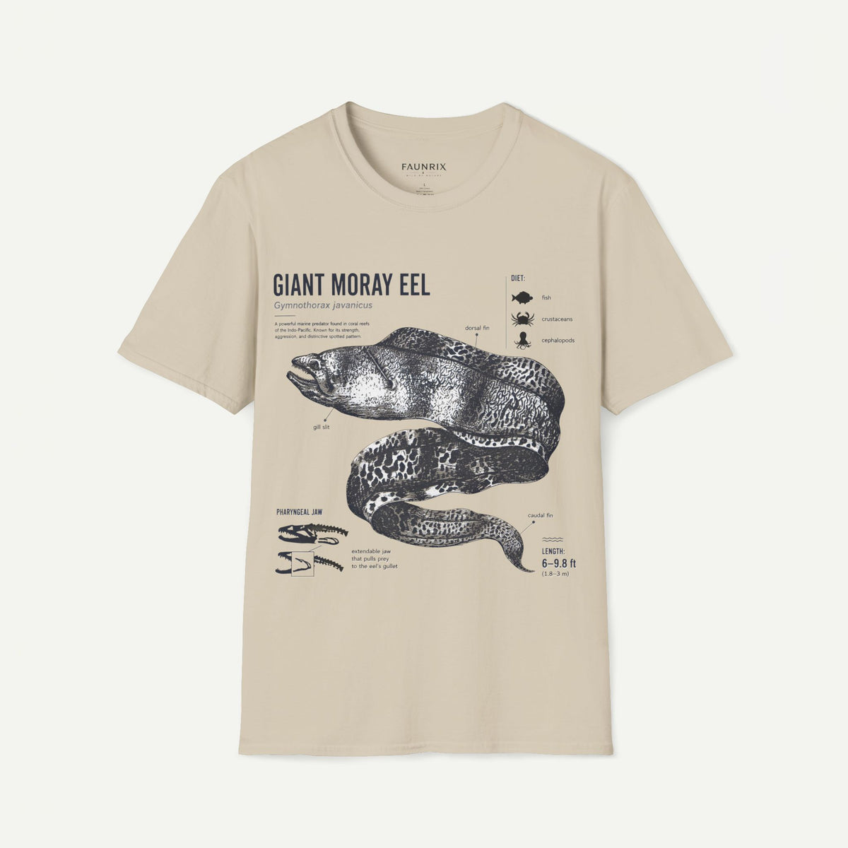 Moray Eel Anatomy Graphic T-Shirt — Vintage Scientific Illustration Tee